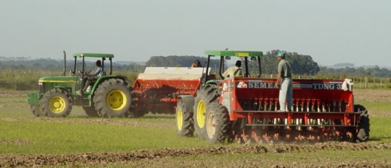 Crédito rural: Pronaf e outros programas passam por ajustes