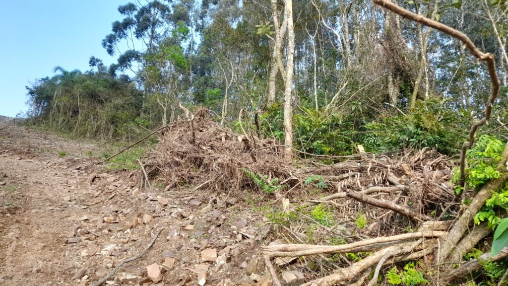 Operação do Batalhão Ambiental / Crédito: Divulgação