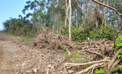 Batalhão Ambiental de Cachoeira do Sul realiza operação contra desmatamento