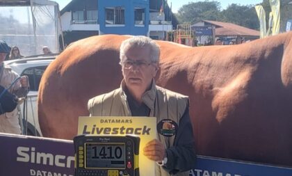 Fazenda Boa Esperança consagra pelo 7° ano consecutivo o touro mais pesado da Expointer