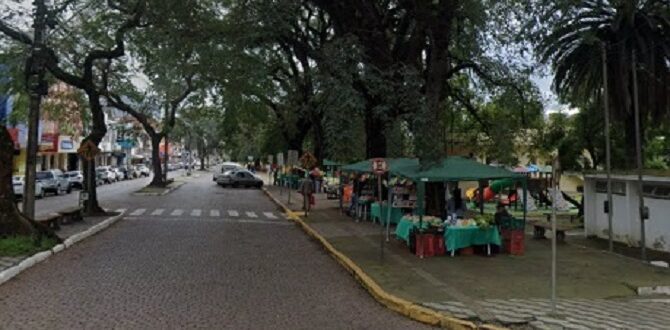 Lanches na Bonifácio: indicação pede campanha contra lixo