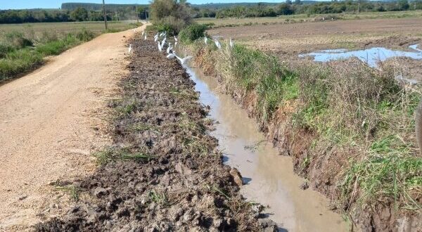 Secretaria do Interior está alargando a Estrada da Tafona no trecho da várzea