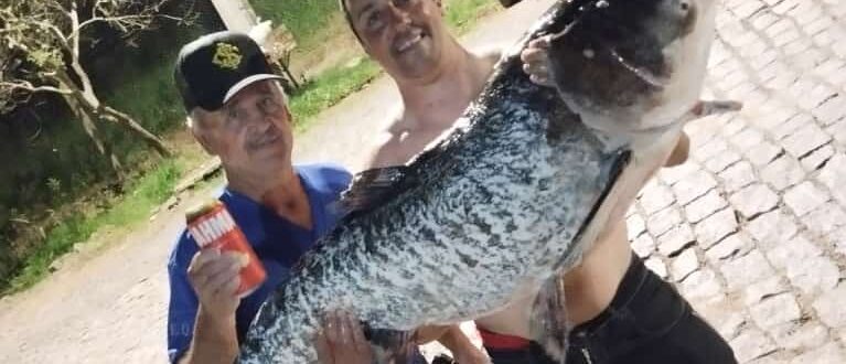 Carpa de 28 quilos é pescada no Rio Jacuí, em Cachoeira do Sul