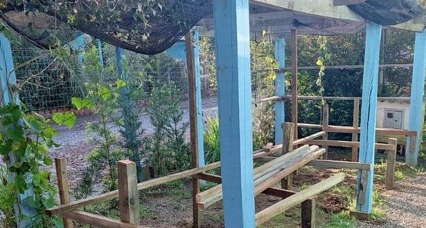 Projeto da Horta Escolar Suspensa tem início em Paraíso do Sul