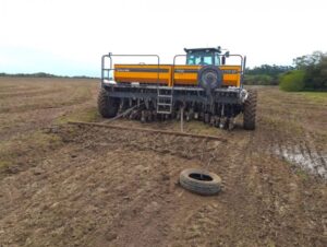 Arroz: Região fecha semana com 8% da área semeada