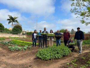 Projeto horta comunitária recebe 400 mudas do Tischler