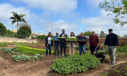 Projeto horta comunitária recebe 400 mudas do Tischler