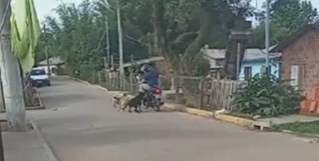 FLAGRANTE: Cuidado, motoqueiro! Moradores do Cristo Rei pedem ajuda