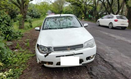 Motorista fica ferido após carro atingir cavalo na ERS-400