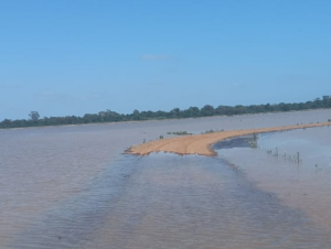 Plantio do arroz trava por conta da chuvarada