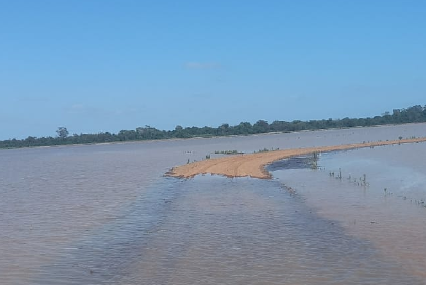 Com grande parte das áreas submersas, plantio do arroz está praticamente paralisado em Cachoeira do Sul por conta dos altos acumulados de chuvas / Fotos: Carlos Wachholz/UCR/Divulgação