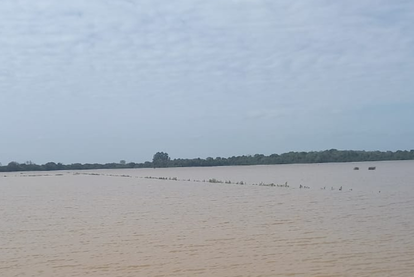 Estruturas de irrigação submersas estão entre os prejuízos amargados pelos produtores de arroz