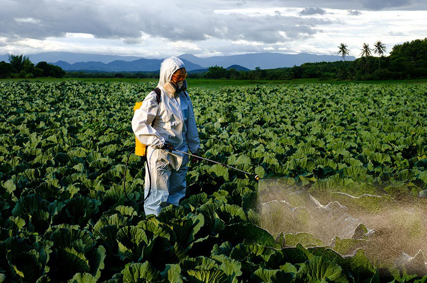 Agrotóxicos: mudanças na legislação geram divergências entre ruralistas e ambientalistas / Foto: Getty Images/iStockphoto