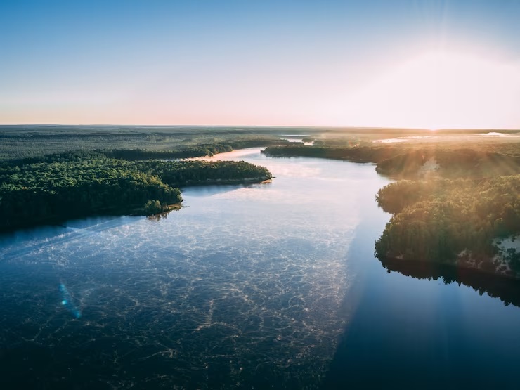 Governador do Amazonas quer cobrar a Amazon / Crédito: Freepik