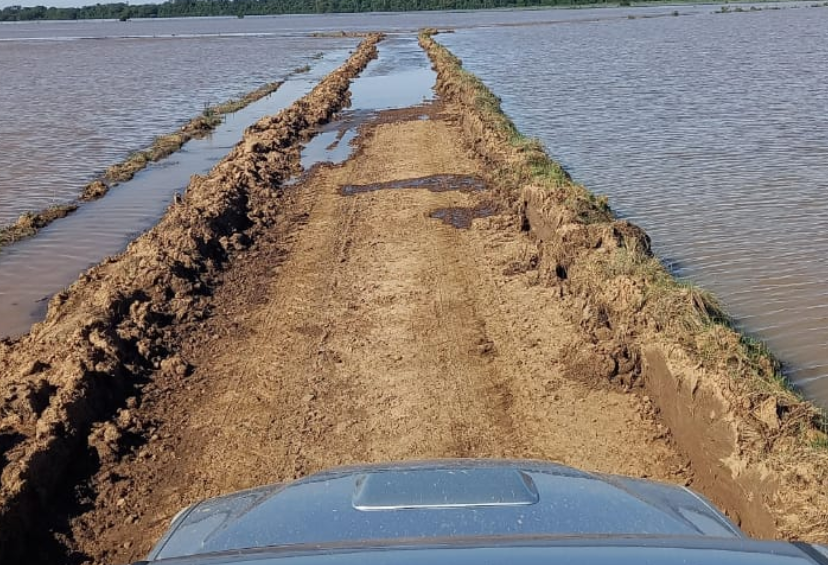 Enchentes deixam áreas de cultivo de arroz submersas há semanas em Cachoeira do Sul
