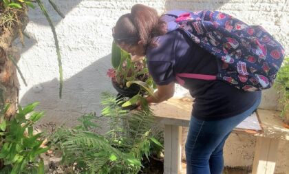 Saúde alerta para cuidados com a dengue devido ao clima