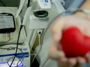 Ministério da Saúde lança Hemovida, aplicativo que incentiva doação de sangue