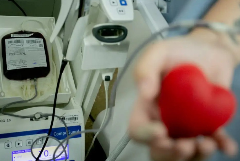 Doação de sangue: plataforma Hemovida, lançada no ar pelo Ministério da Saúde, traz informações e funcionalidades voltadas à doação de sangue / Foto: Myke Sena/Ministério da Saúde