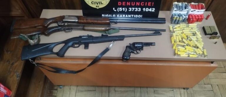 Polícia de Encruzilhada encontra armas em casa de homem que feriu cachorro a tiro