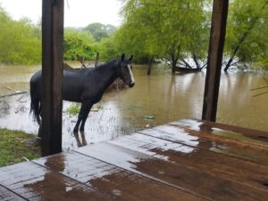 Rio Jacuí: Defesa Civil segue em Alerta Máximo