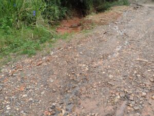 Moradores reclamam do matagal e buraqueira na Aldeia