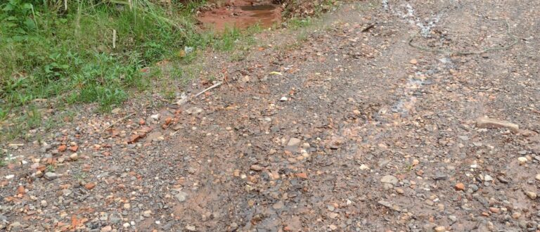 Moradores reclamam do matagal e buraqueira na Aldeia