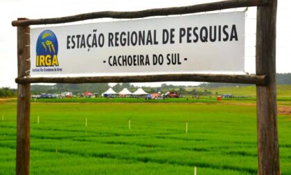 Dia de Campo Estadual do Irga será em Cachoeira do Sul