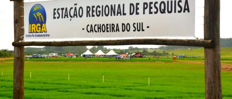 Dia de Campo Estadual do Irga será em Cachoeira do Sul