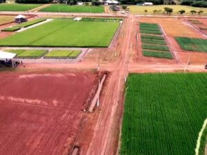 Confira vídeo do Dia de Campo do Irga de 2024 em Cachoeira do Sul