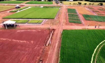 Confira vídeo do Dia de Campo do Irga de 2024 em Cachoeira do Sul