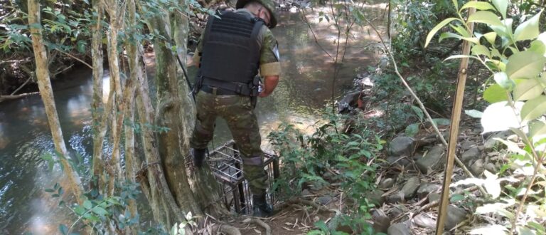 Operação Força Verde: o que o Pelotão Ambiental de Cachoeira do Sul encontrou