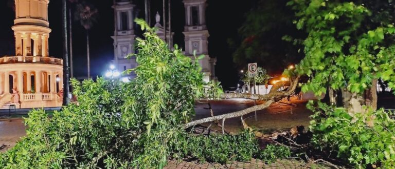 Temporal deixa 7.600 clientes sem energia elétrica