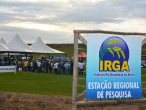 O que você precisa saber do Dia de Campo do Irga em Cachoeira do Sul