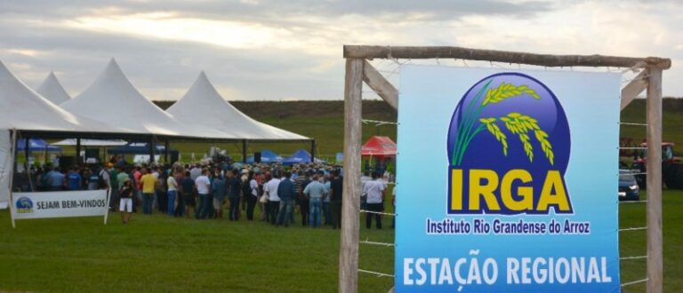 O que você precisa saber do Dia de Campo do Irga em Cachoeira do Sul