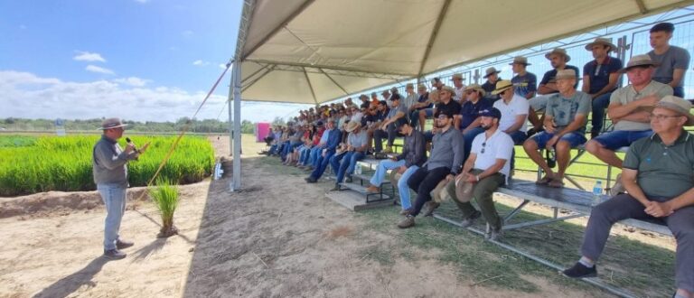 Dia de Campo recebe mais de 1,5 mil pessoas em Cachoeira do Sul