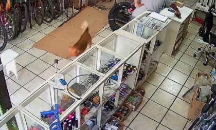 Brigada recupera com adolescente celular furtado em loja