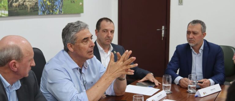 Reunião debate apoio ao setor do arroz