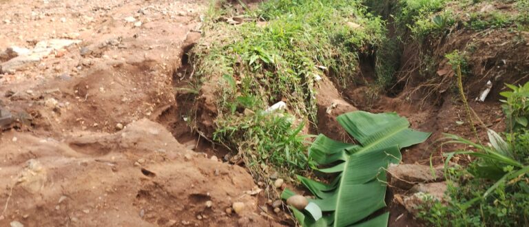 Moradores cobram providências para Rua Dona Rosária, na Volta da Charqueadas