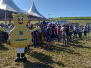 Fenarroz: executiva e Arrozito marcam presença no Dia de Campo Estadual do Irga