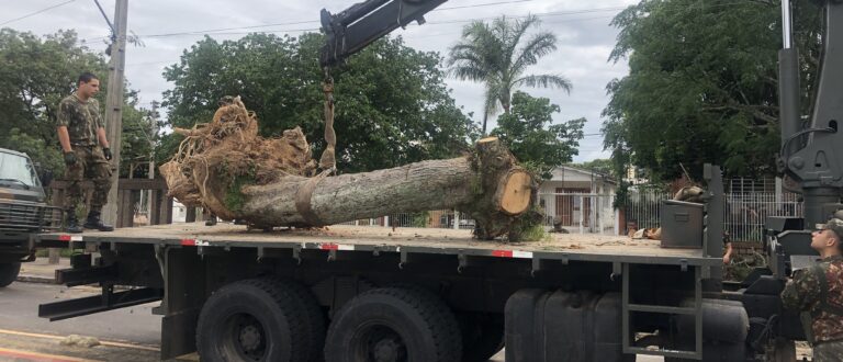 Web Stories: confira a atuação do 3º Batalhão na recuperação de Porto Alegre