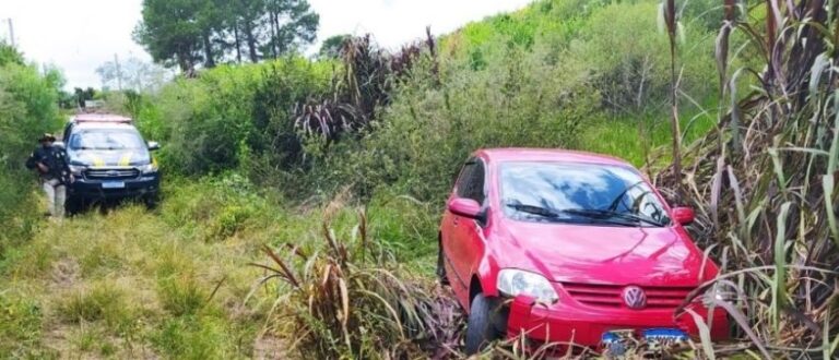 PRF prende motorista que transportava e fumava maconha na BR-290