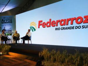 Câmara Setorial do Arroz pauta setor na Abertura da Colheita