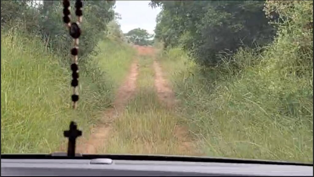 No Corredor da Sanga Funda, também conhecido como Estrada Tio Vito, o matagal tomou conta / Foto: Milos Silveira