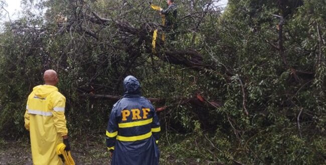 Defesa Civil localiza 2 pessoas desaparecidas no Interior