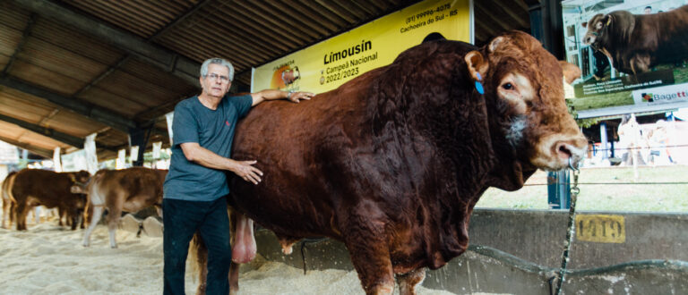 Touro premiado de Cachoeira do Sul chama a atenção de visitantes na ExpoLondrina