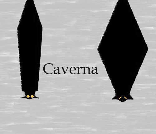 Caverna: caminhos da vida