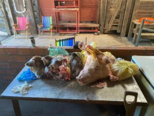 Força-Terafa apreende quase 1 tonelada de alimentos em Candelária