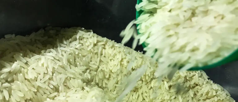 Governo autoriza importação de 1 milhão de toneladas de arroz