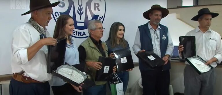 Boa Esperança levou a maioria dos prêmios da Feira de Terneiros