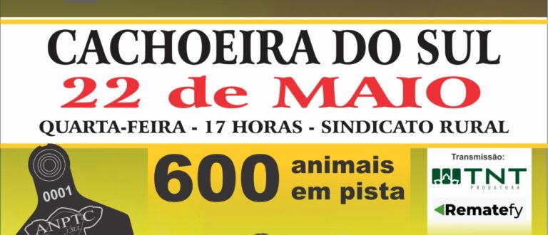 60ª Feira de Terneiros de Outono é nesta quarta-feira em Cachoeira